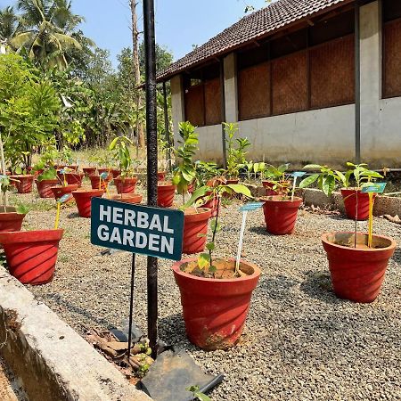 Ayuryogashram Heritage Thrissur 外观 照片