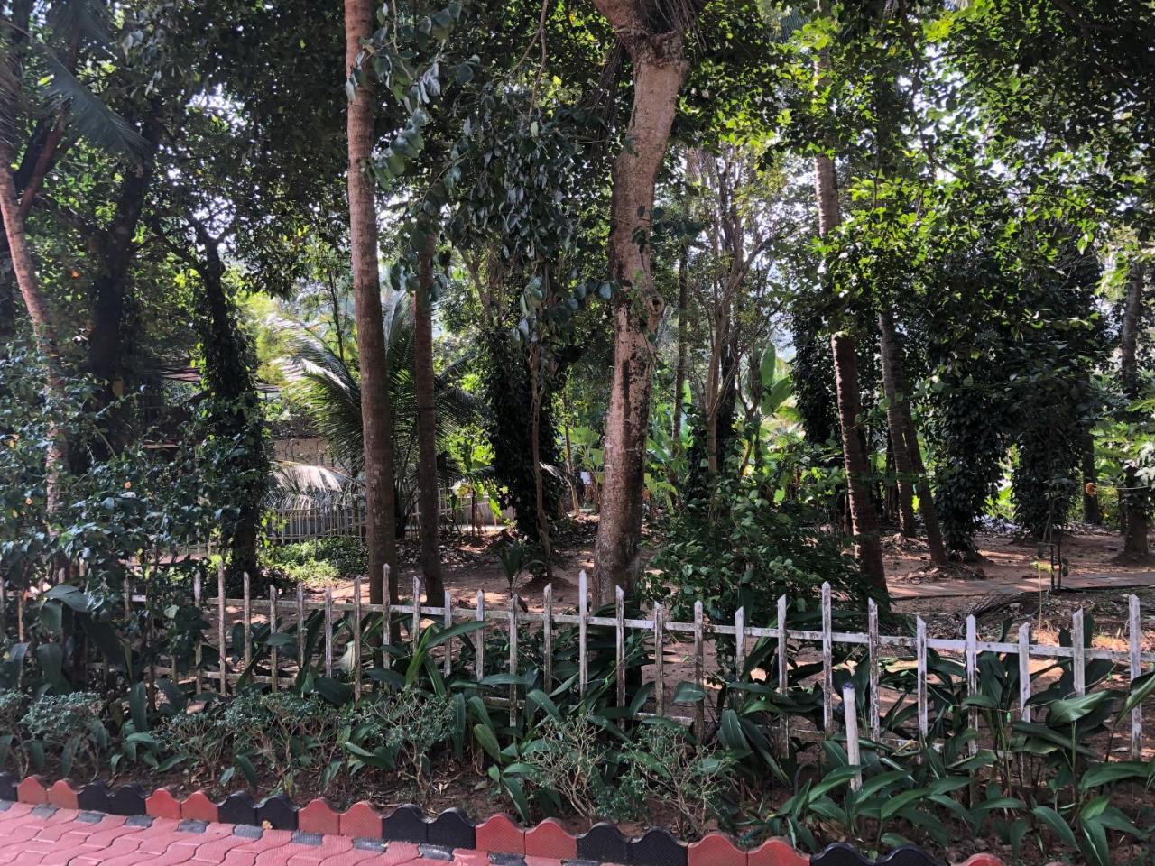 Ayuryogashram Heritage Thrissur 外观 照片